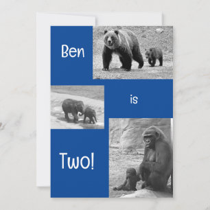 Two-rific Zoo Birthday Party Invitation