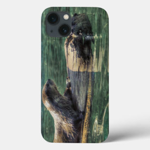 Two River Otters Wildlife Art Animal-lover's iPhone 13 Case