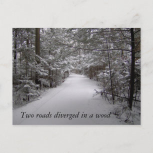 Two roads diverged in a wood winter postcard