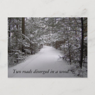 Two roads diverged in a wood winter postcard