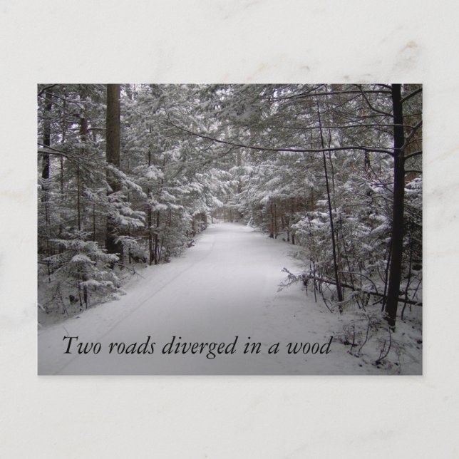 Two roads diverged in a wood winter postcard (Front)