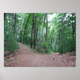 Two Roads Diverged In A Yellow Wood Poster