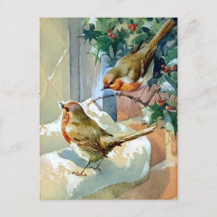 Two Robins On Snow Covered Holly Holiday Postcard