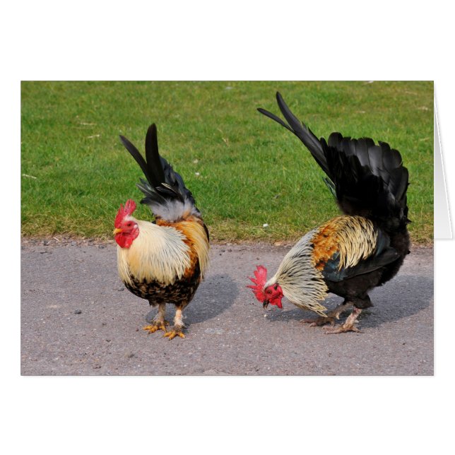 Two roosters (Front Horizontal)