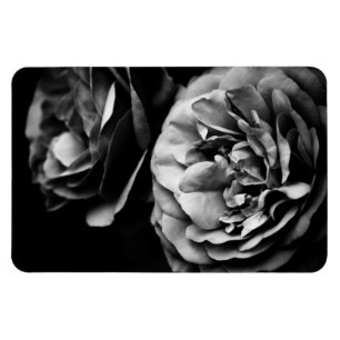 two roses magnet