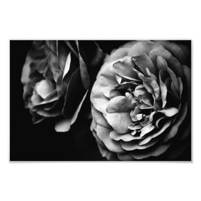 two roses photo print (Front)