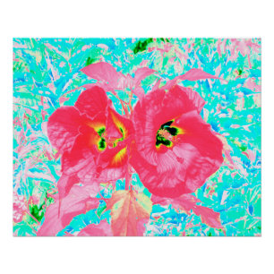 Two Rosy Red Coral Plum Crazy Hibiscus on Aqua Poster