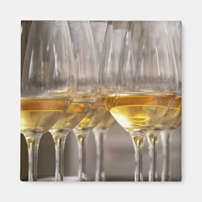 two rows of wine tasting glasses with lucious magnet (Front)