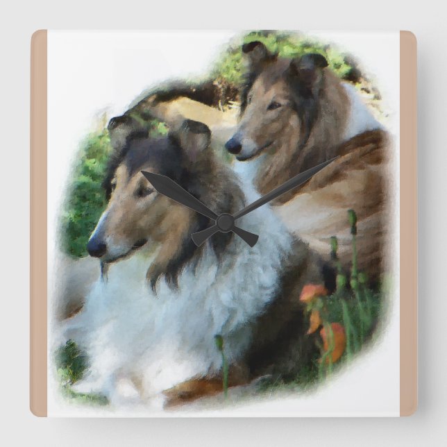 Two Sable Rough Collies Art Gifts Square Wall Clock (Front)