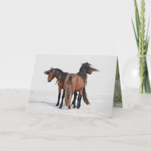 Two Sable Stallions Flowing Manes - Greeting Card