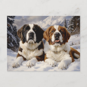 Two Saint Bernards in Snow Postcard