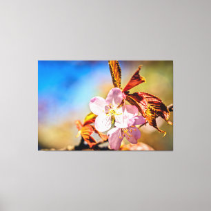 Two Sakura Cherry Flowers Canvas Print