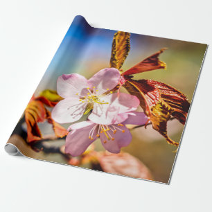 Two Sakura Cherry Flowers Wrapping Paper