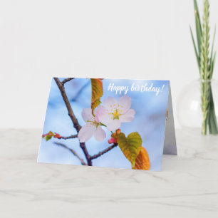 Two Sakura Flowers Of Pale Pink Colour In Spring Card