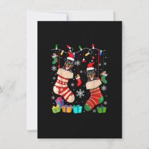 Two Santa Rottweiler Dogs In Christmas Socks Dog L Invitation