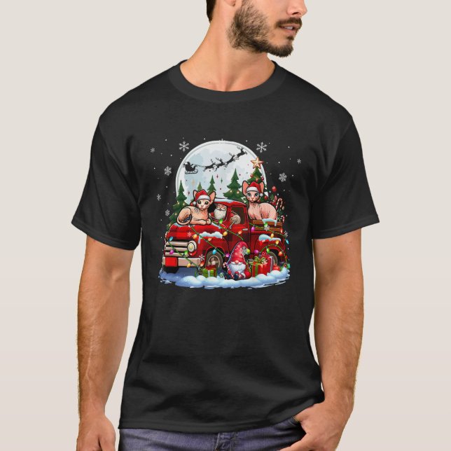 Two Santa Sphynx Cats On Pickup Truck Gnome Christ T-Shirt (Front)
