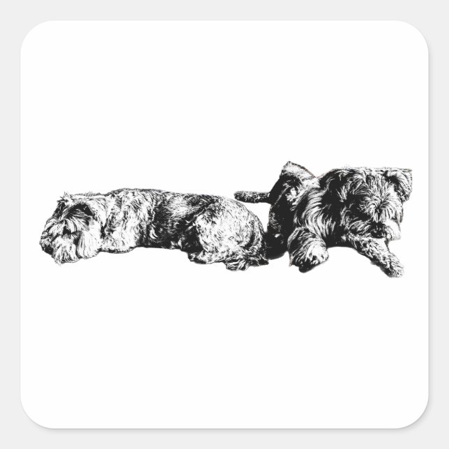 Two Schnauzers – Black & White Dog Sticker (Front)