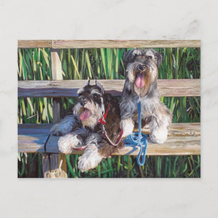 "Two schnauzers on a bench" dog art post cart Postcard