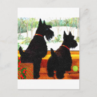 Two Scottie Dogs At Christmas Holiday Postcard