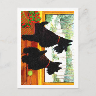 Two Scotty Dogs at Christmas Holiday Postcard