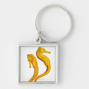 Two Sea Horses shoot on a white background in a Key Ring