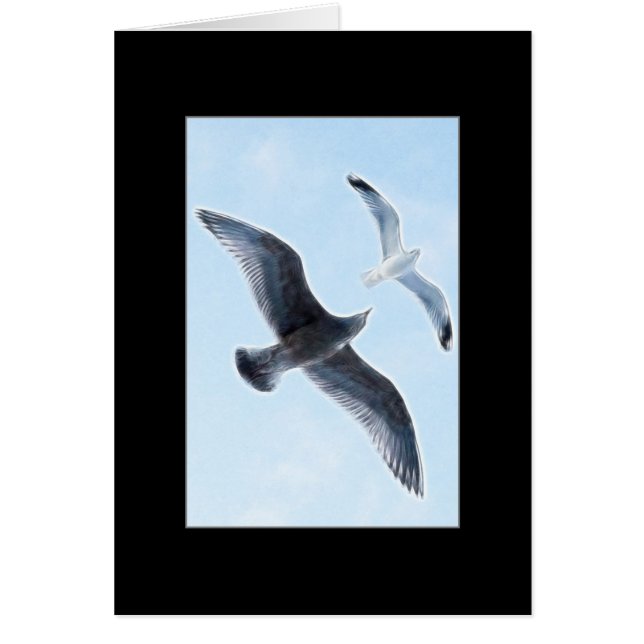Two Seagulls (Front)