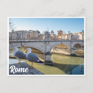 Two seagulls against Rome, Italy Postcard