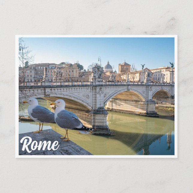 Two seagulls against Rome, Italy Postcard (Front)