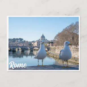 Two seagulls against the stunning backdrop of Rome Postcard