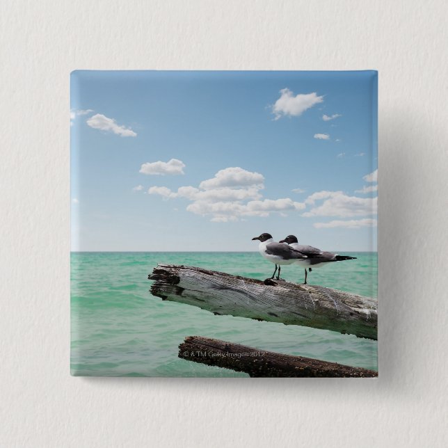 Two seagulls sitting on a dead tree sticking out 15 cm square badge (Front)