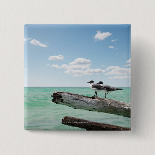 Two seagulls sitting on a dead tree sticking out 15 cm square badge
