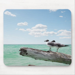 Two seagulls sitting on a dead tree sticking out mouse mat