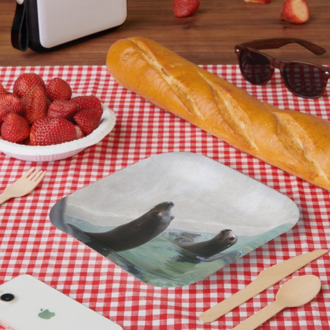 Two Seals Looking Up by the Wall Paper Plate (Picnic)