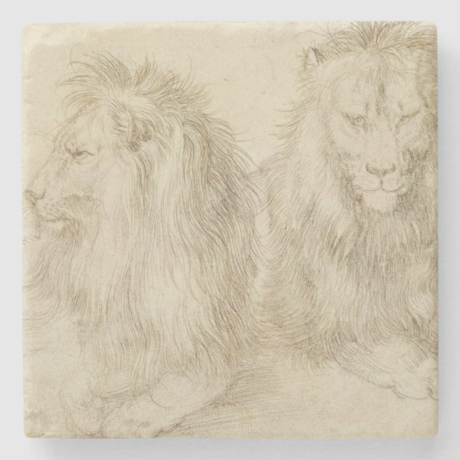 Two Seated Lions (Wild Animals) (Albrecht Durer) Stone Coaster (Front)