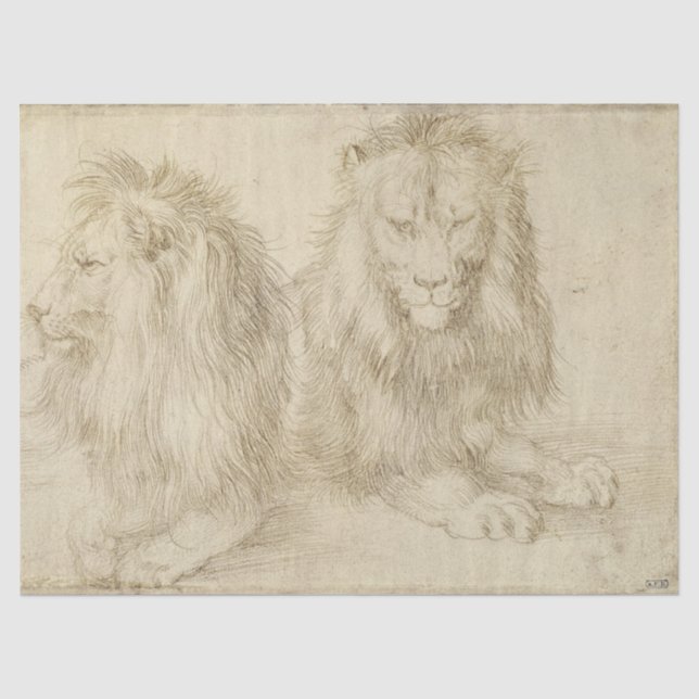 Two Seated Lions (Wild Animals) (Albrecht Durer) Tissue Paper (Front)
