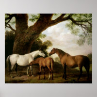 Two Shafto Mares and a Foal, 1774