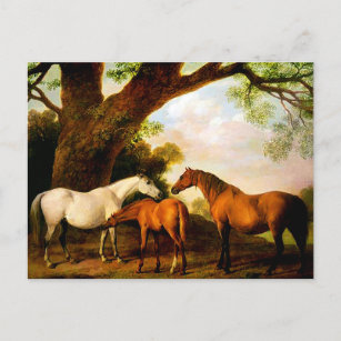 Two Shafto Mares and a Foal by George Stubbs Postcard