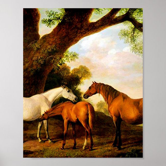 Two Shafto Mares and a Foal by George Stubbs  Poster (Front)