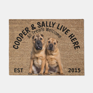 Two Shar Pei Personalised Dog Lover   Doormat
