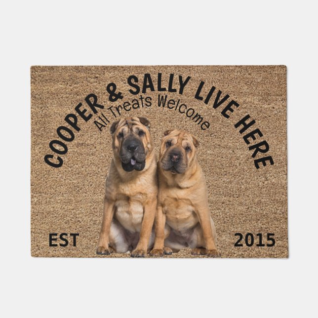 Two Shar Pei Personalised Dog Lover   Doormat (Front)