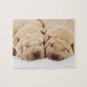 Two Shar Pei puppies sleeping Jigsaw Puzzle