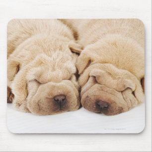 Two Shar Pei puppies sleeping Mouse Mat