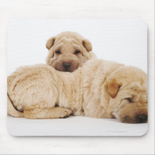Two Shar Pei puppies sleeping, studio shot Mouse Mat