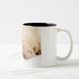 Two Shar Pei puppies sleeping Two-Tone Coffee Mug