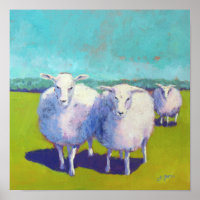 Two Sheep In Field