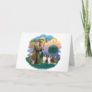 Two Shelties - St. Francis (ff) Card