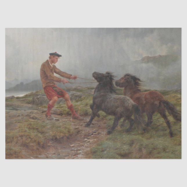 Two Shetland Ponies in a Misty Scottish Landscape Tissue Paper (Front)