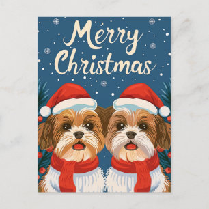 Two Shi Tzu Merry Christmas  Postcard