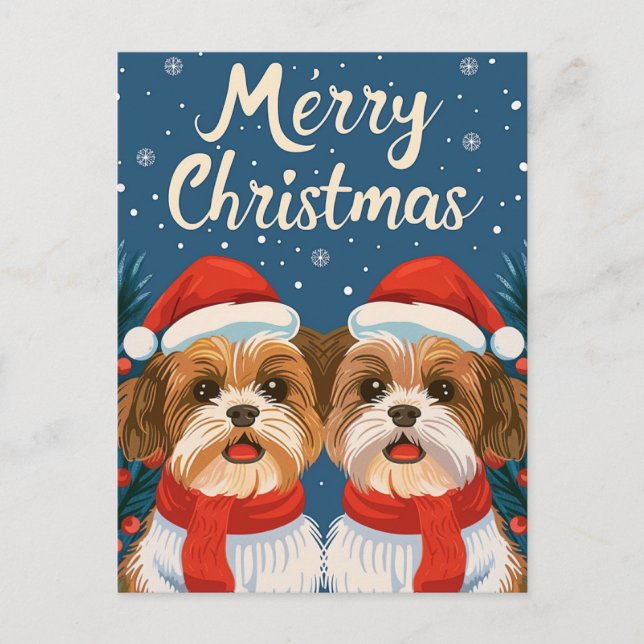 Two Shi Tzu Merry Christmas  Postcard (Front)