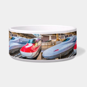 Two Shinkansen at the Tokyo Station